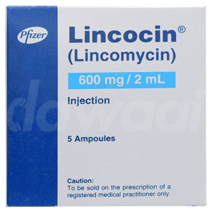 Lincocin 600mg injection