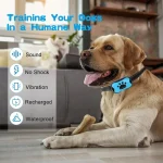 USB Rechargeable Anti-Bark Dog Collar
