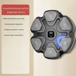 Boxing Wall Target Machine with Music